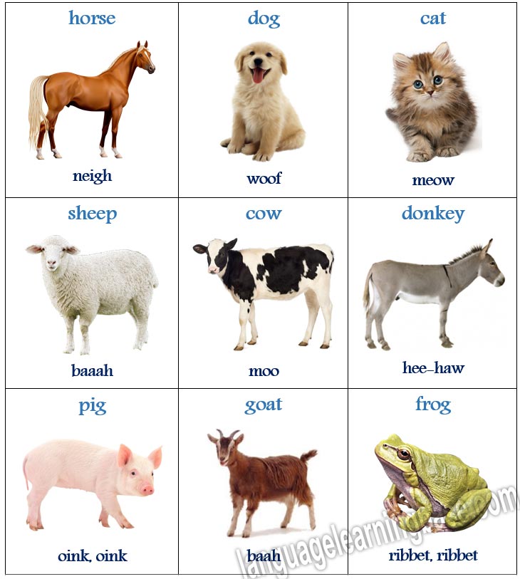 Animals and their sounds in English - learn English,vocabulary,english