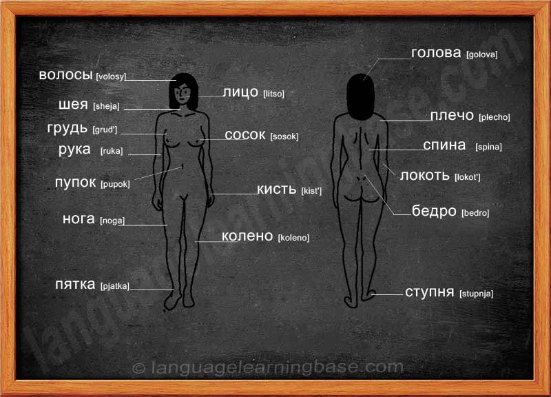 Russian Bicycle Glossary Part 61